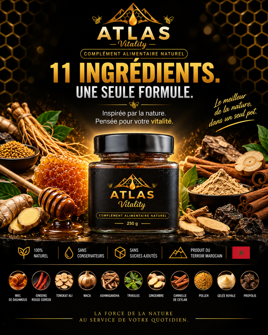Atlas Vitality — 11 ingrédients, une seule formule
